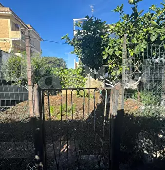 Foto annuncio 24