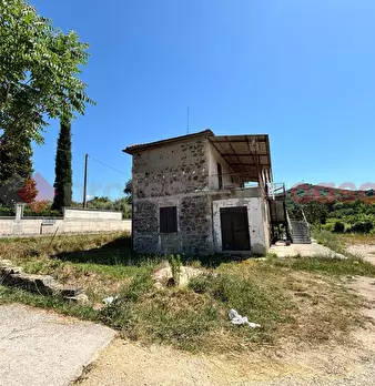 Foto annuncio 7