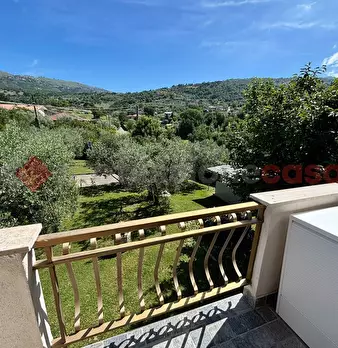 Foto annuncio 19