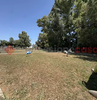 Foto annuncio 40