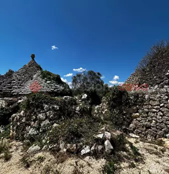 Foto annuncio 6