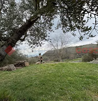 Foto annuncio 31