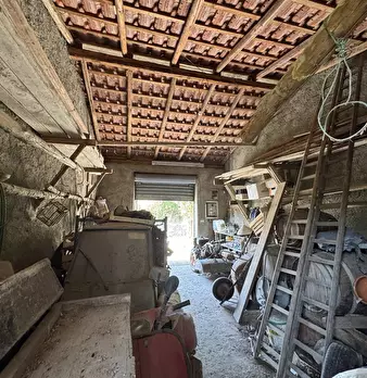 Foto annuncio 22