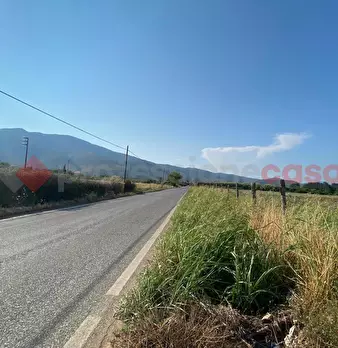 Foto annuncio 4