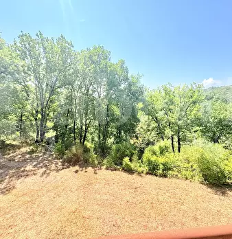 Foto annuncio 29