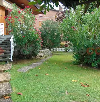 Foto annuncio 10