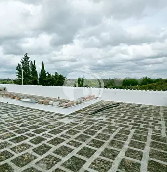 Foto annuncio 33
