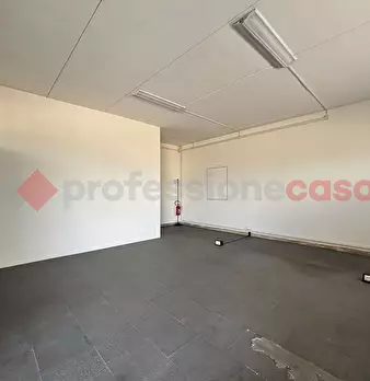 Foto annuncio 14