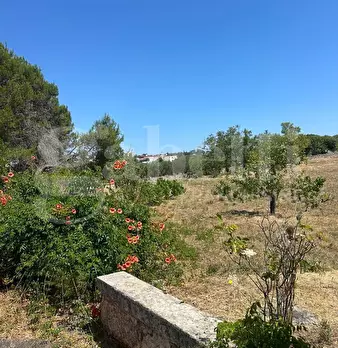 Foto annuncio 19