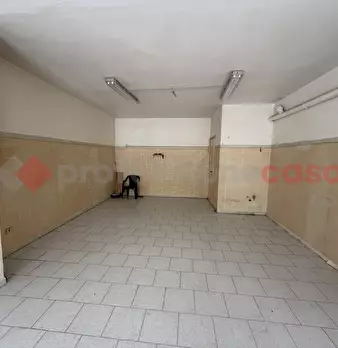Foto annuncio 7