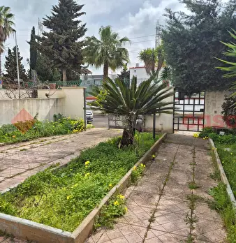 Foto annuncio 42