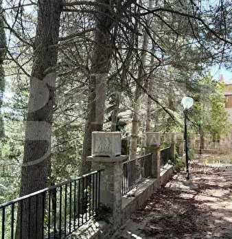 Foto annuncio 7