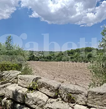 Foto annuncio 19
