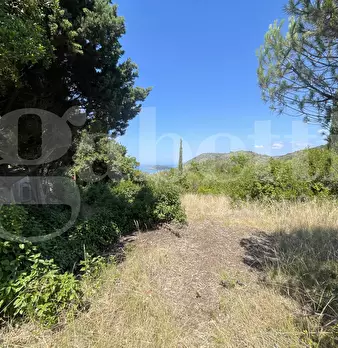 Foto annuncio 4