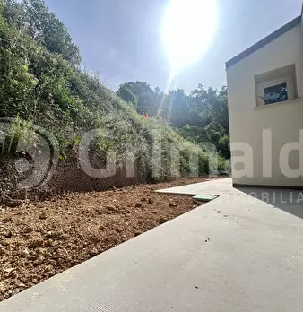 Foto annuncio 20