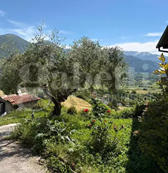 Foto annuncio 22