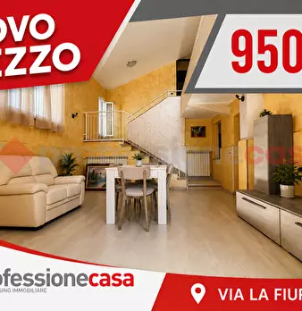 Foto annuncio 24