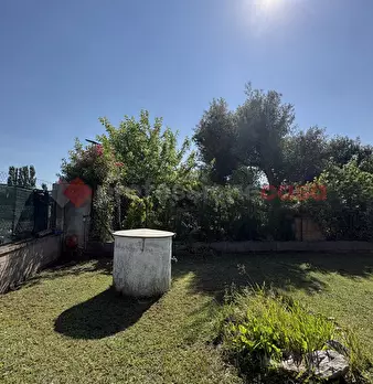 Foto annuncio 12