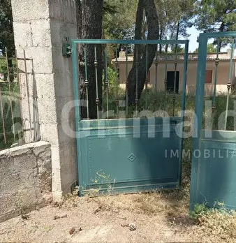 Foto annuncio 4
