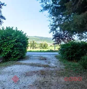 Foto annuncio 17