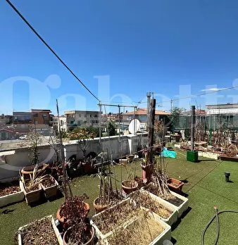 Foto annuncio 20