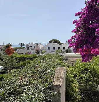 Foto annuncio 34