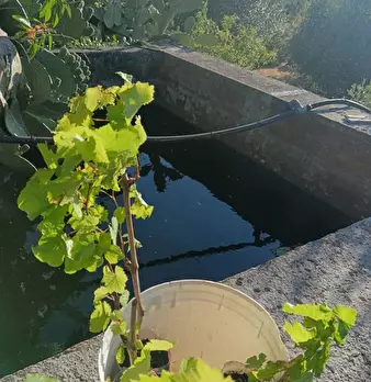 Foto annuncio 8