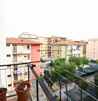 Foto annuncio 26