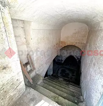 Foto annuncio 14
