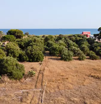 Foto annuncio 5