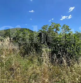 Foto annuncio 20