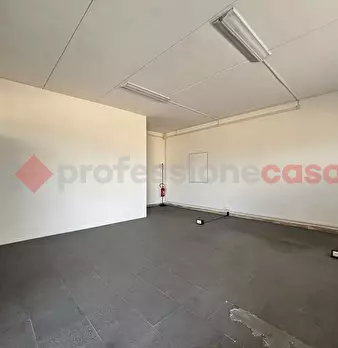 Foto annuncio 14