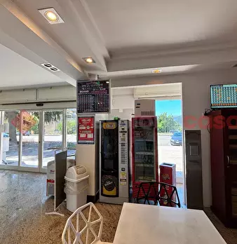 Foto annuncio 13