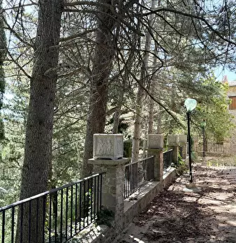 Foto annuncio 21