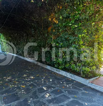Foto annuncio 48