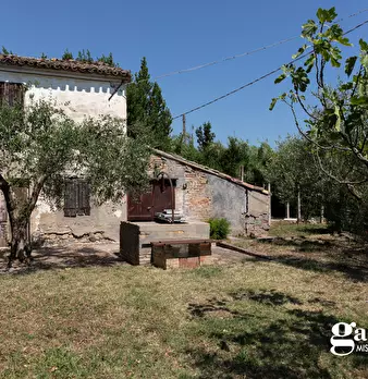 Foto annuncio 13