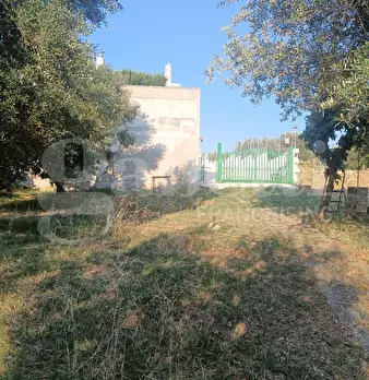 Foto annuncio 6