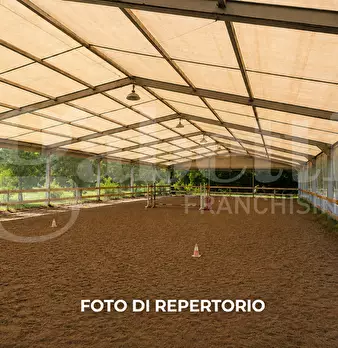 Foto annuncio 10