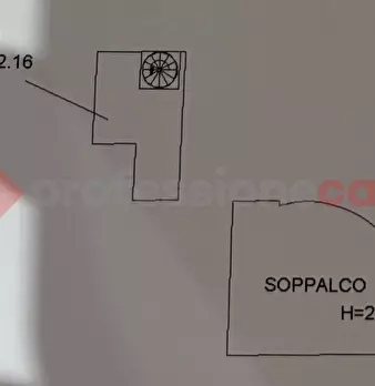 Foto annuncio 47