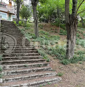 Foto annuncio 25