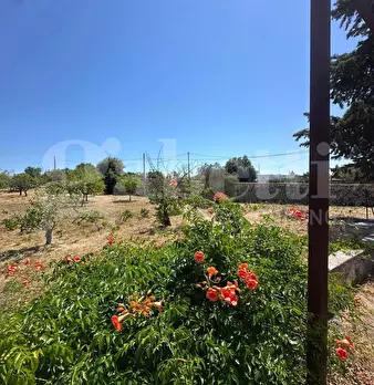 Foto annuncio 16