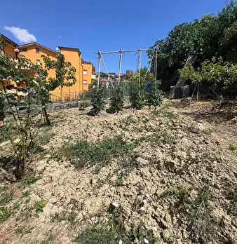 Foto annuncio 24