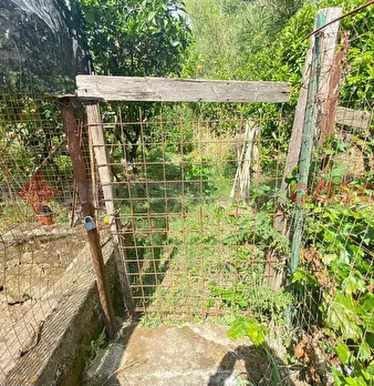 Foto annuncio 31