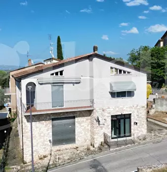 Foto annuncio 47