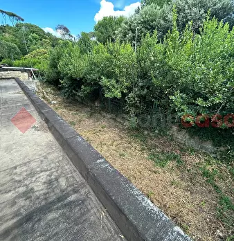 Foto annuncio 17