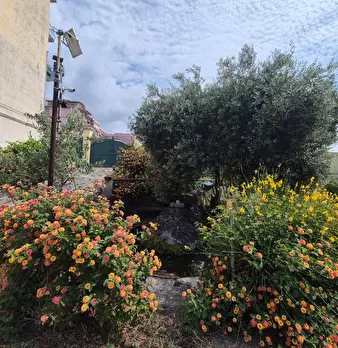 Foto annuncio 7