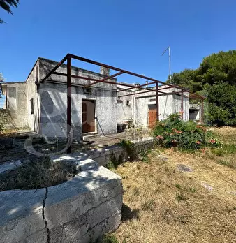 Foto annuncio 1