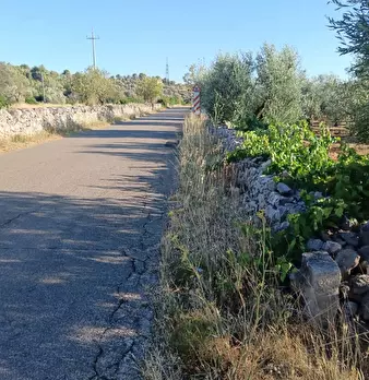 Foto annuncio 11
