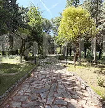 Foto annuncio 14