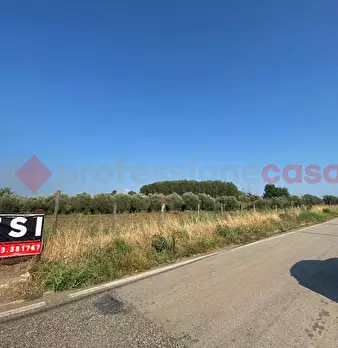 Foto annuncio 5